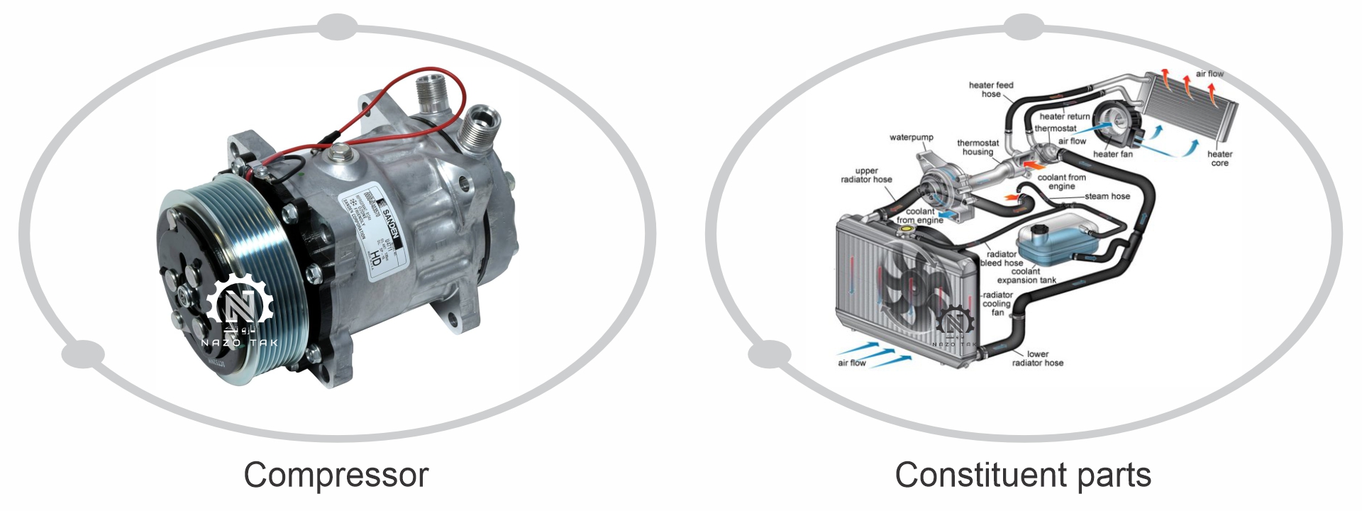 constituent parts